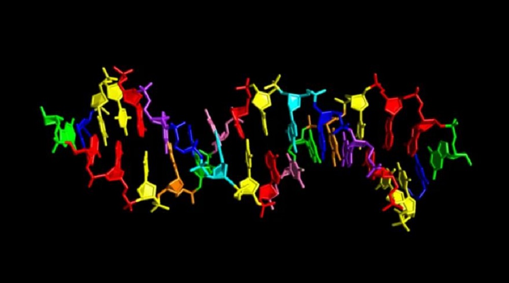 Geschenkpapier-DNA aus acht Buchstaben gehören zu den Aliens