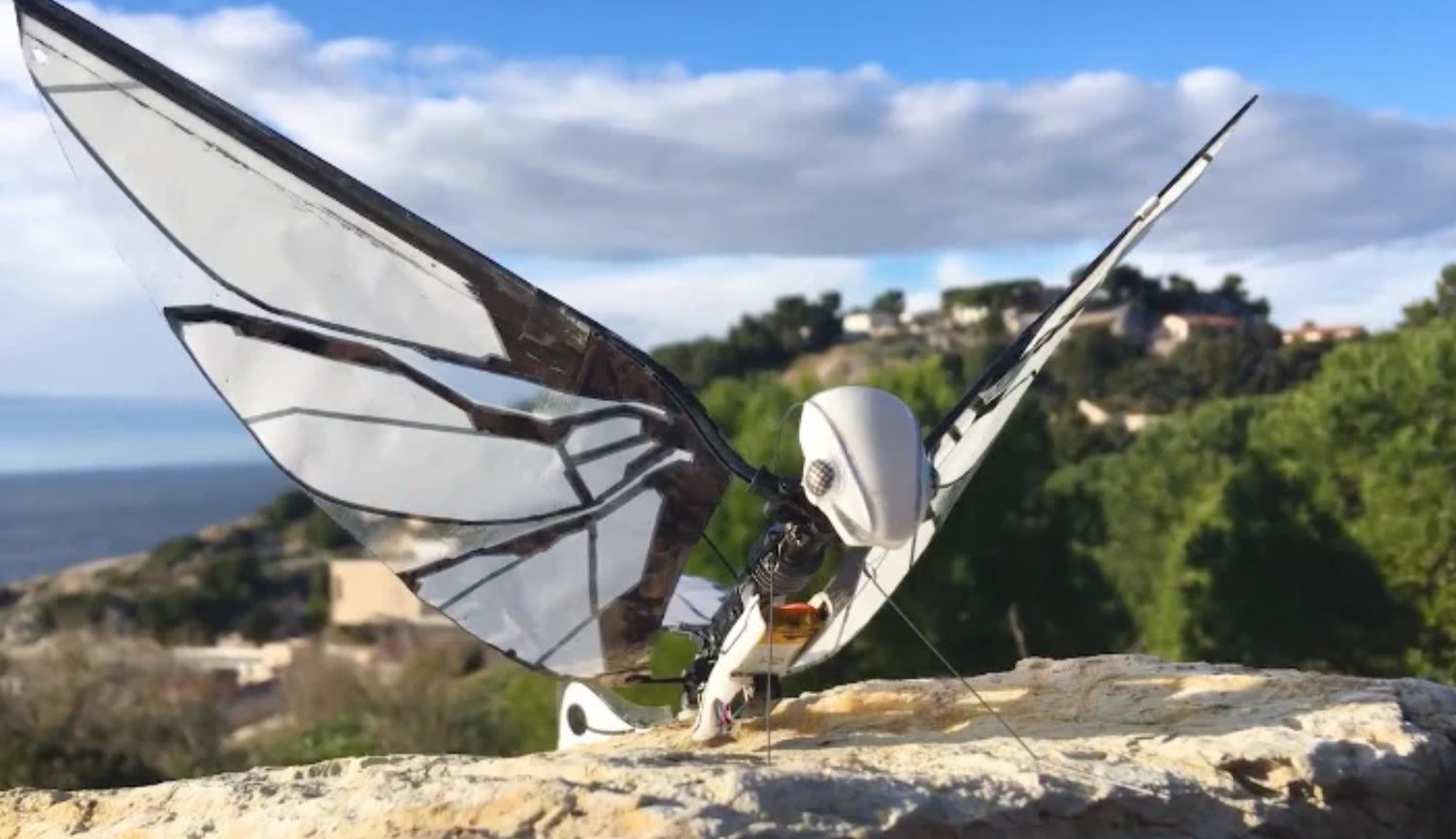 This robot is almost indistinguishable from live insects: see for yourself