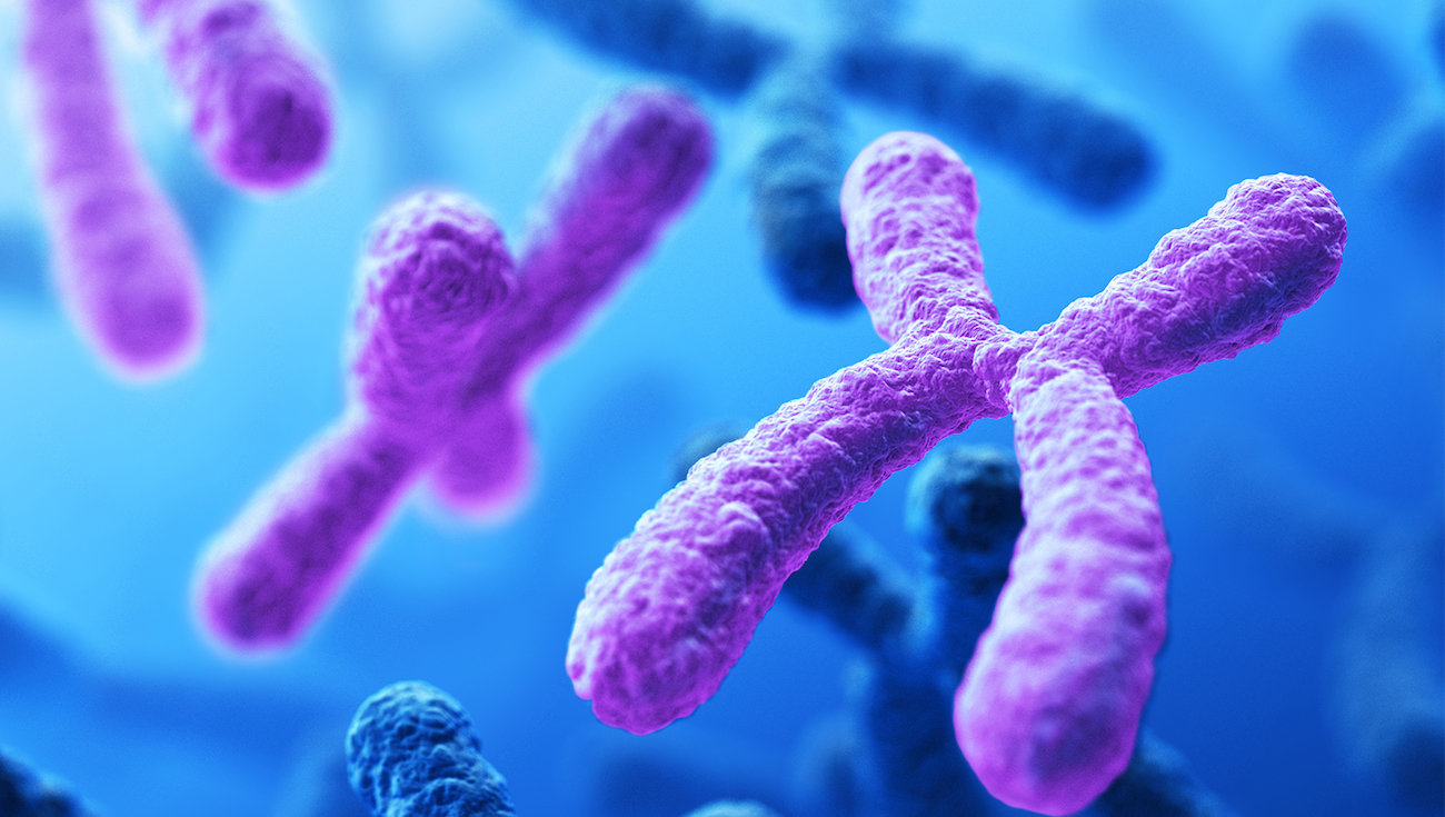 Por qué a la gente exactamente 23 pares de cromosomas?