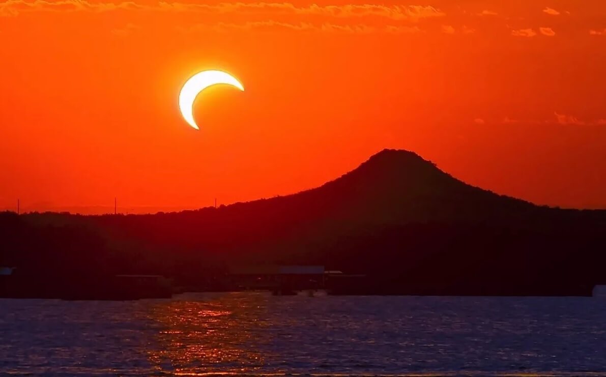 Por que os animais durante eclipses se comportar estranhamente