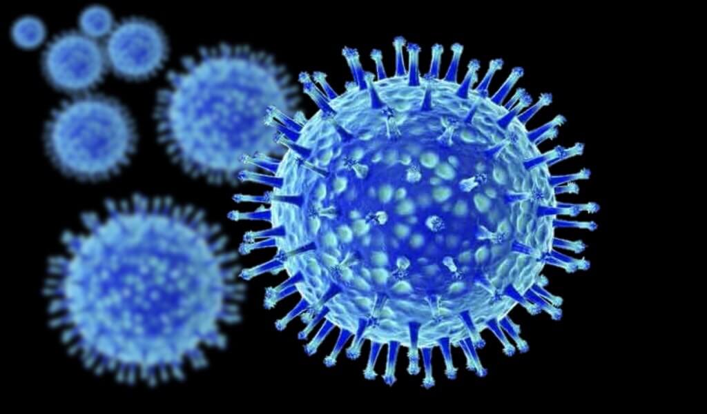 कुछ वायरस पर एक अच्छा प्रभाव है स्वास्थ्य