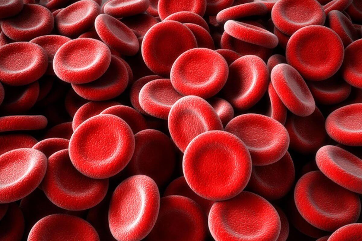 만들어진 인공 혈액 수 있는 모든 환자에게 수혈