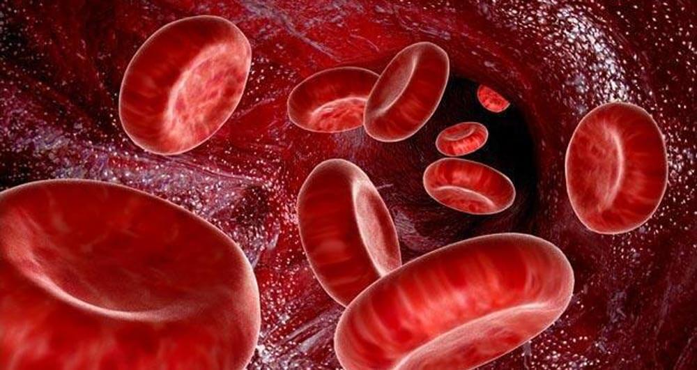 يمكن أن فصيلة الدم تؤثر على شخصية الشخص ؟ 