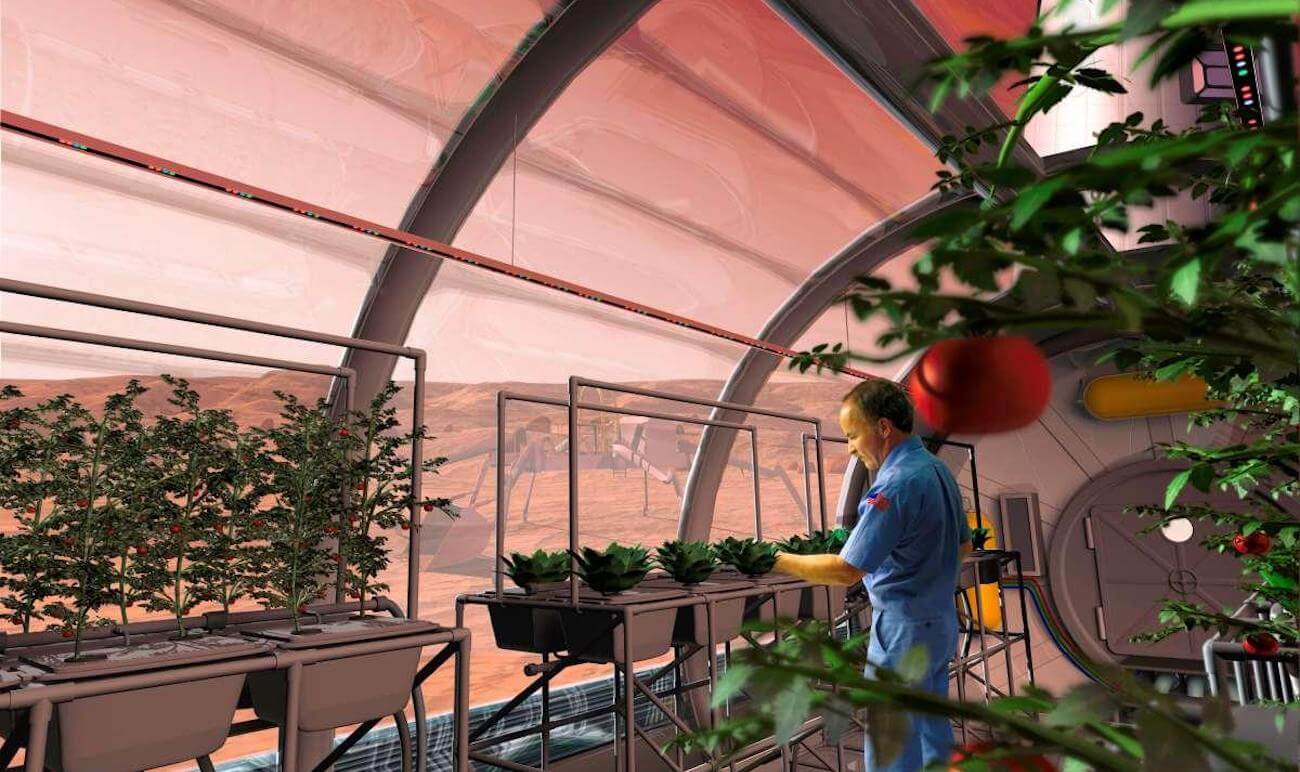 Is it possible to grow plants in lunar and Martian soil?