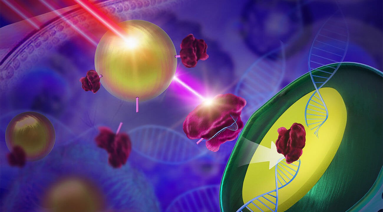 Como editor do genoma CRISPR ajuda a combater as bactérias