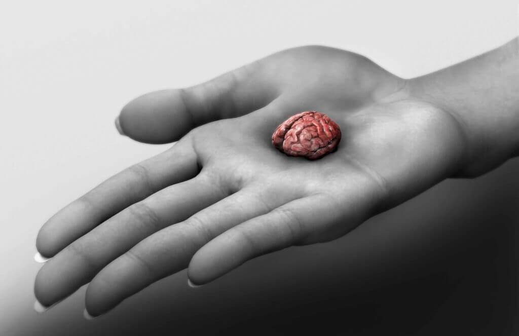 Mini human brains created in laboratory, capable of feeling pain