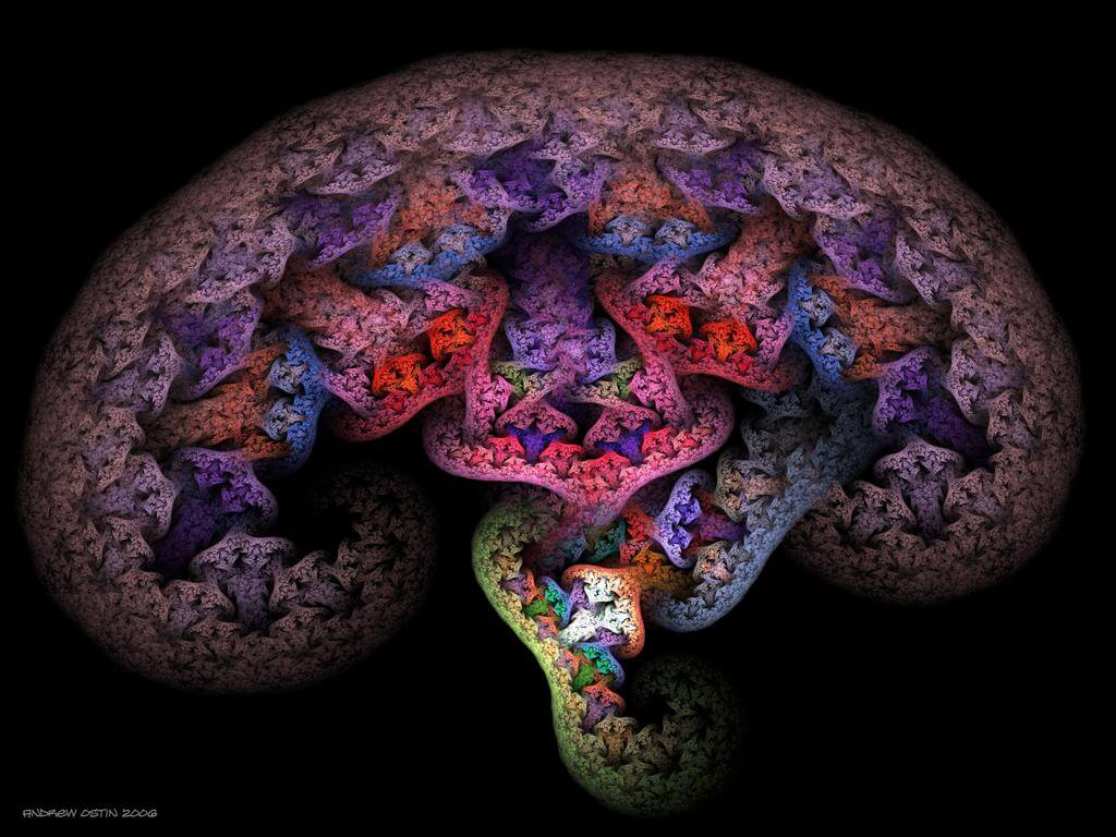 Hvordan stoffer ødelægger hjernen?