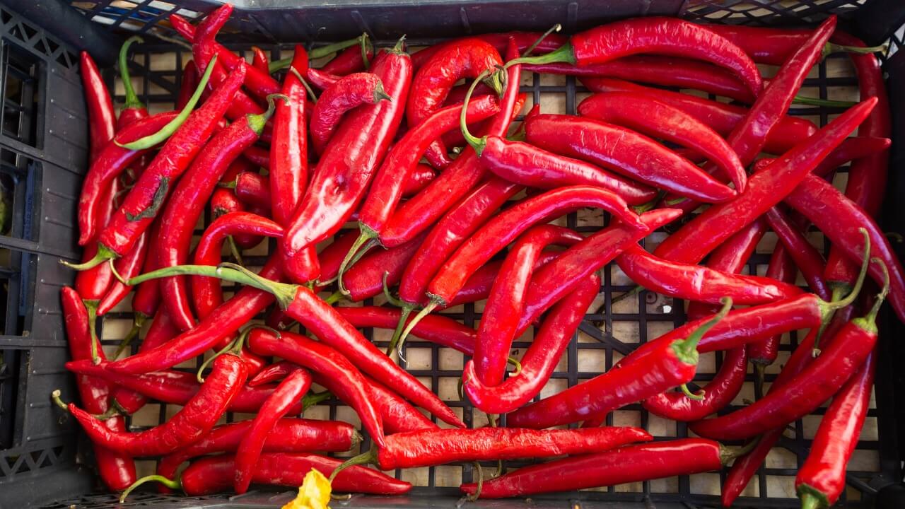 Att äta chili minskar risken för hjärtinfarkt