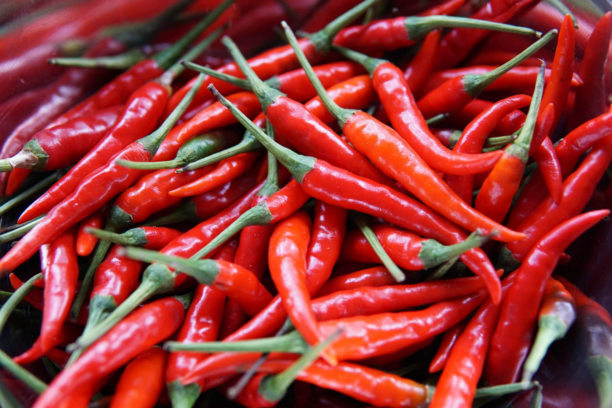 Fra hvilke sygdomme kan spare regelmæssig indtagelse af chili?
