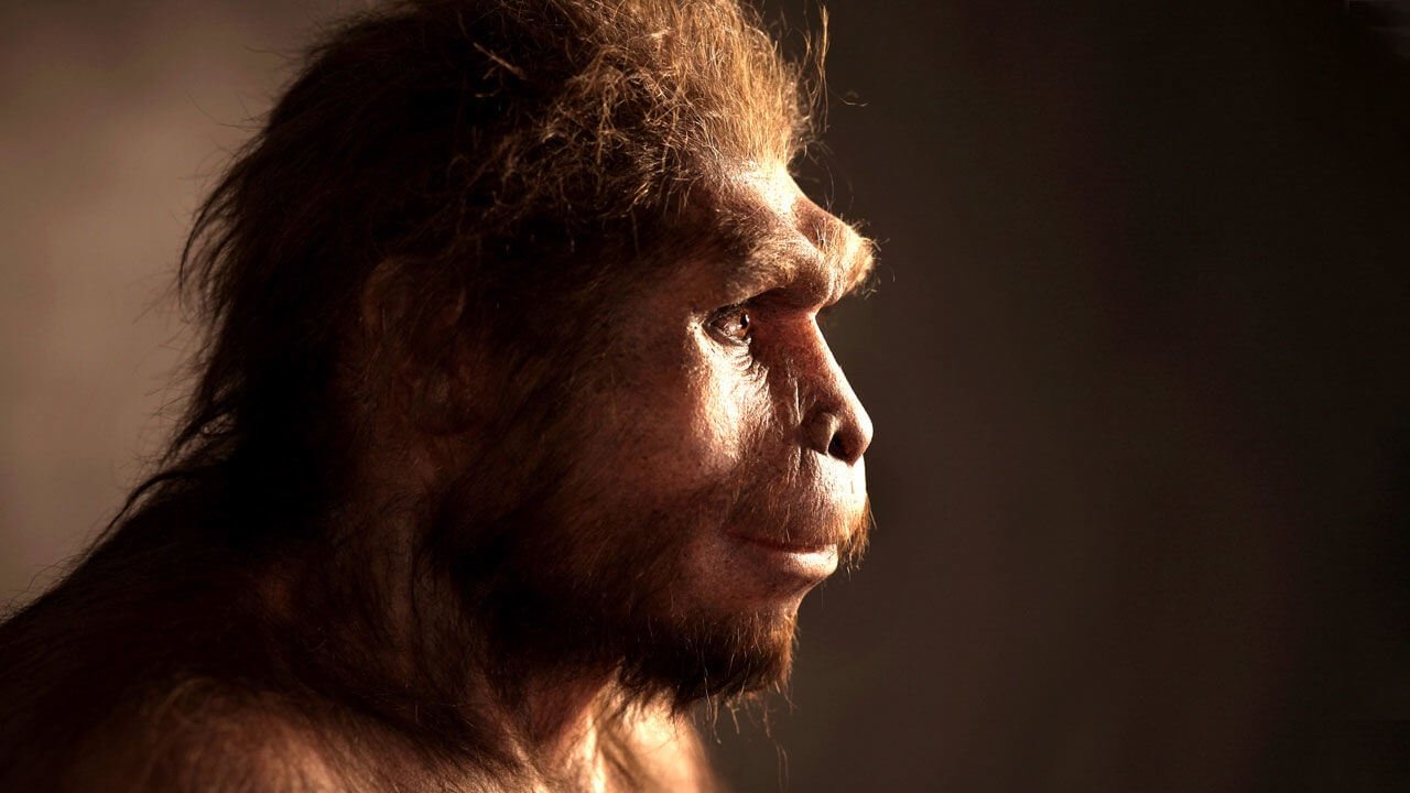 Die gefundenen überreste von Vorfahren des Menschen verändern unsere Vorstellung über die Evolution des Homo Sapiens