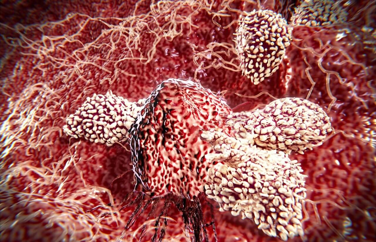 Dlaczego komórki odpornościowe nie zabijają sami siebie