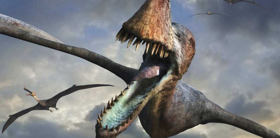 Wurde der zahn eines Dinosauriers, stecken im Körper Kalmar. Warum ist eine einzigartige Entdeckung?