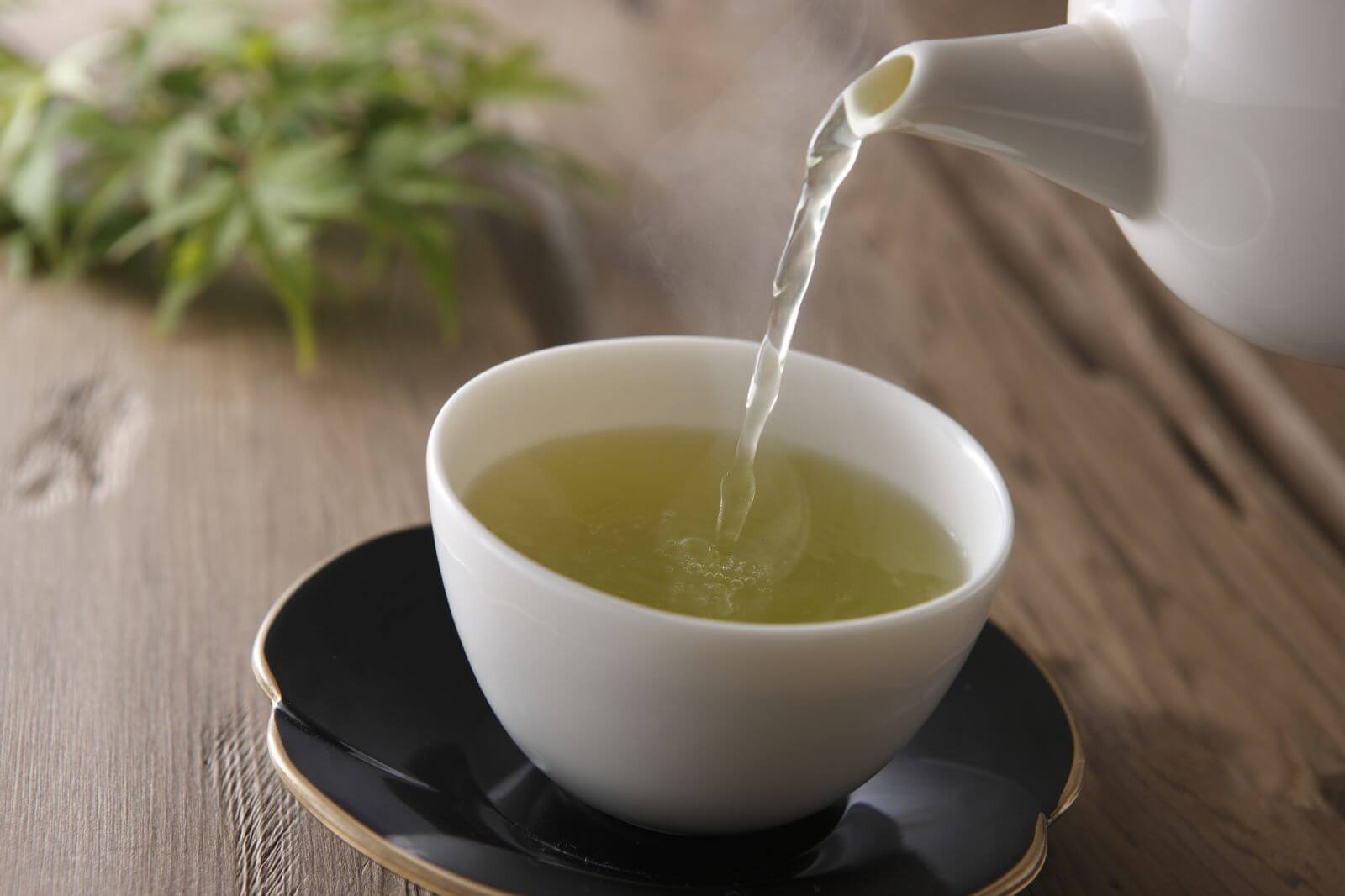 Регулярне вживання чаю пов'язано зі збільшенням тривалості життя