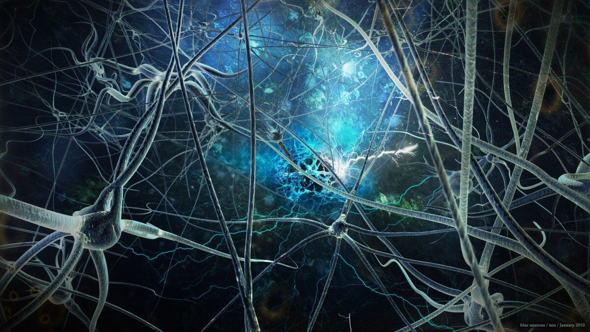 Discovered neuronal connections responsible for the emergence of consciousness