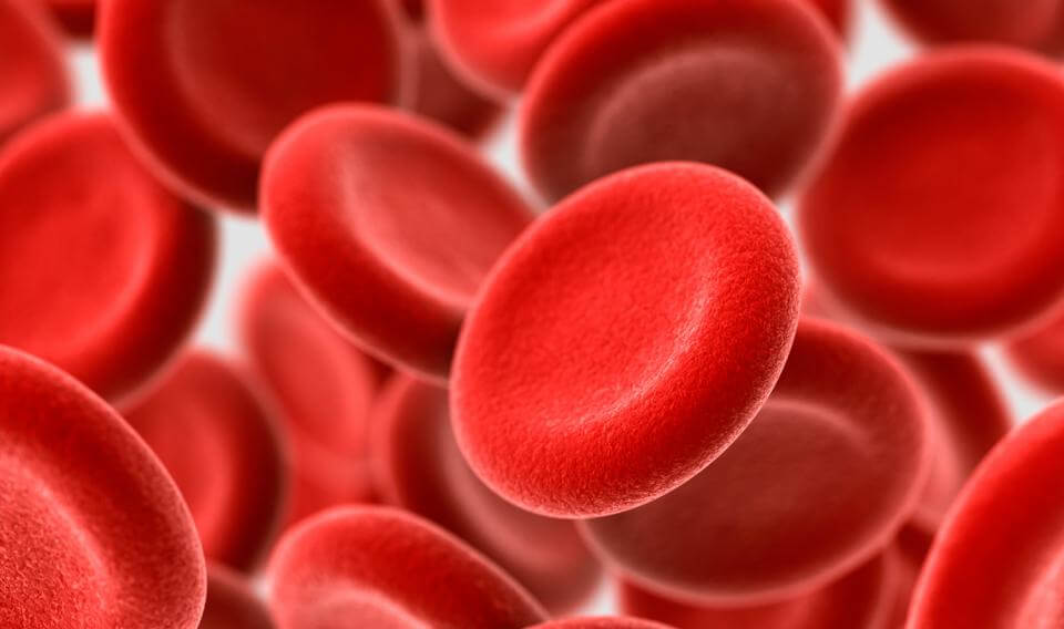 Groups of human blood: what is the difference and why they cannot be mixed