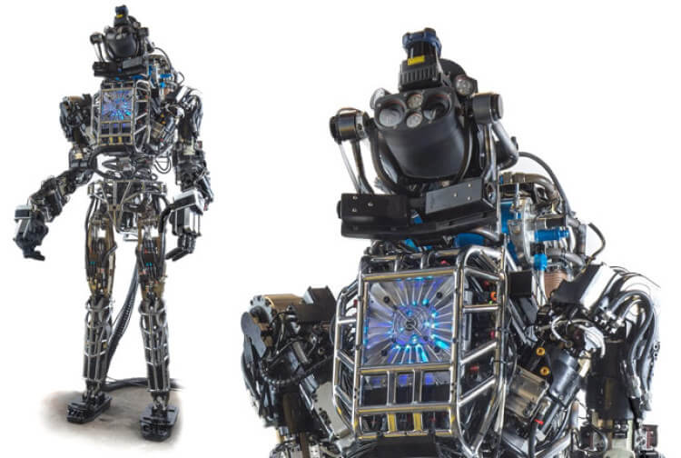How to construct the most sophisticated robot on Earth?
