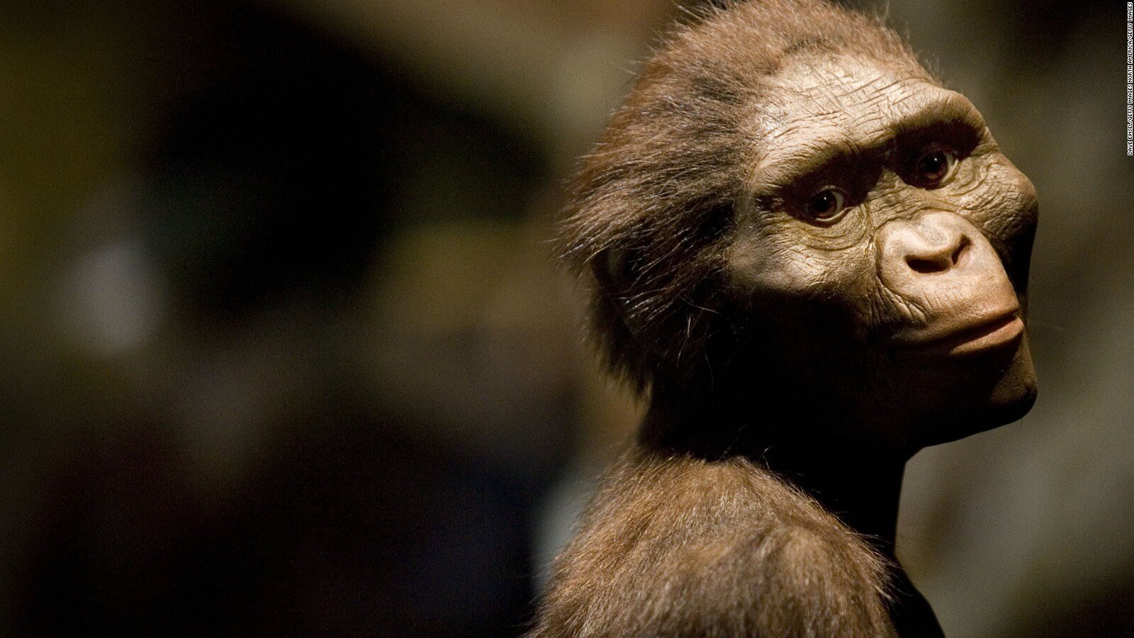 Did man descend from apes?