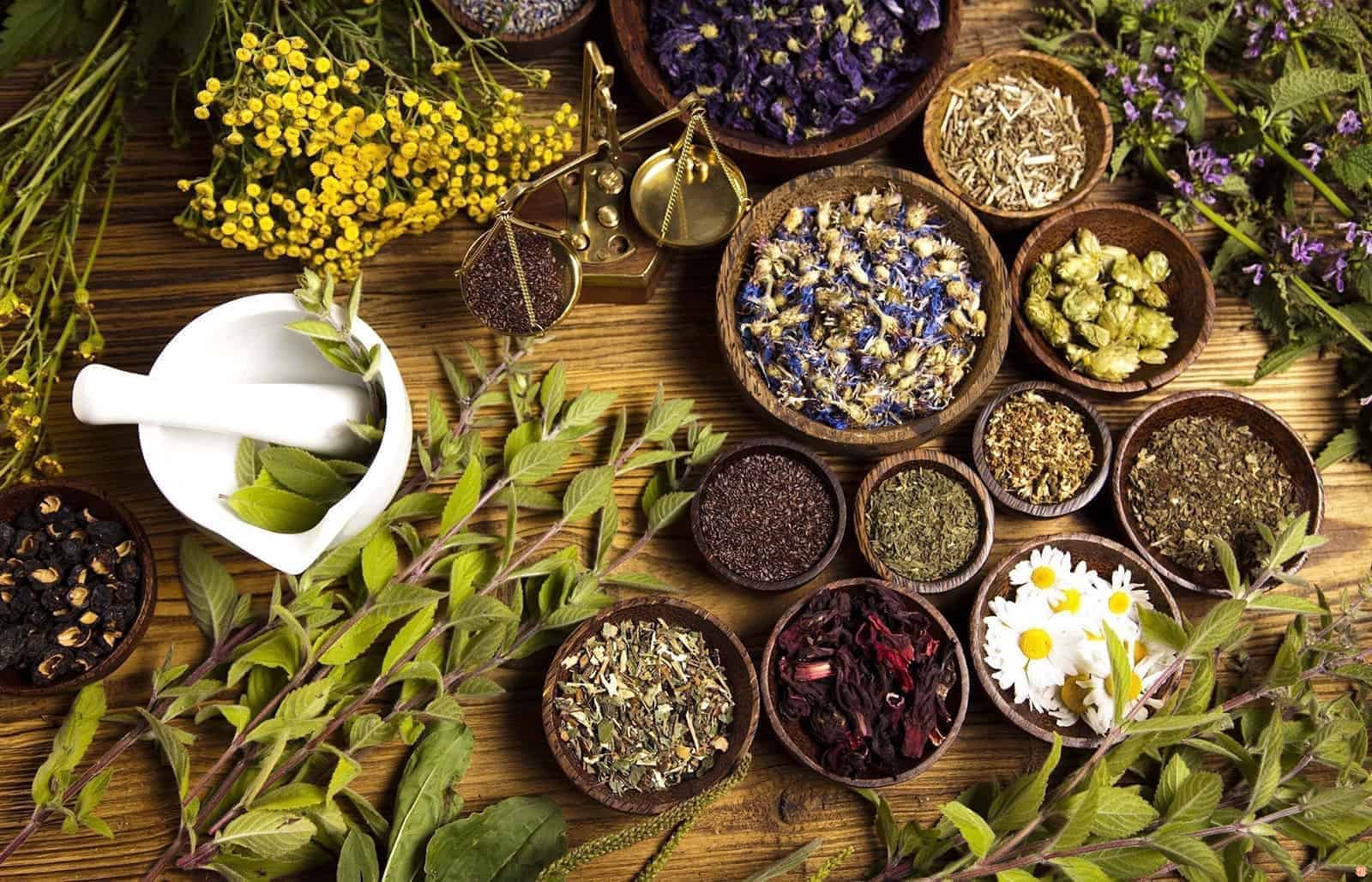 Herbal treatment – what you need to know?