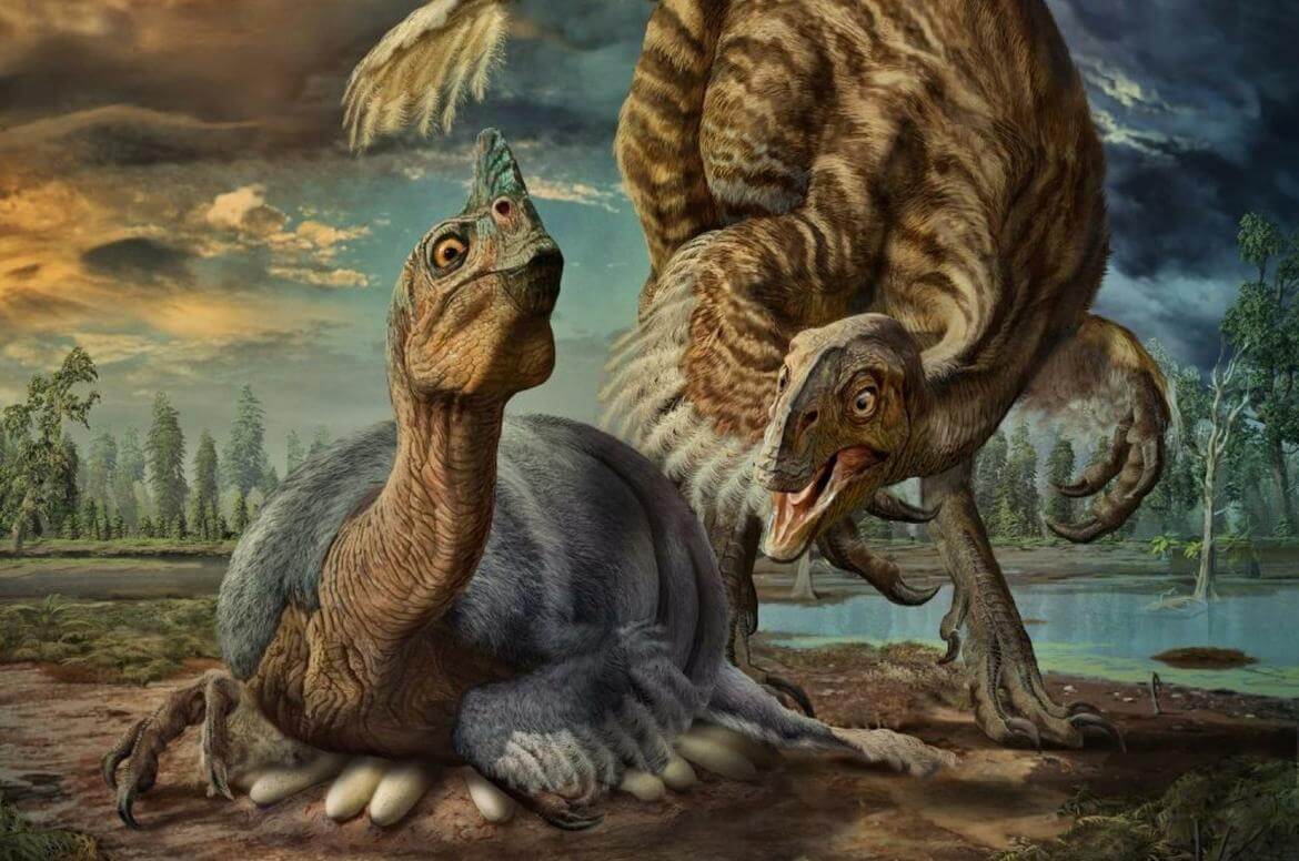 A very important discovery, dinosaur eggs were not covered with a shell