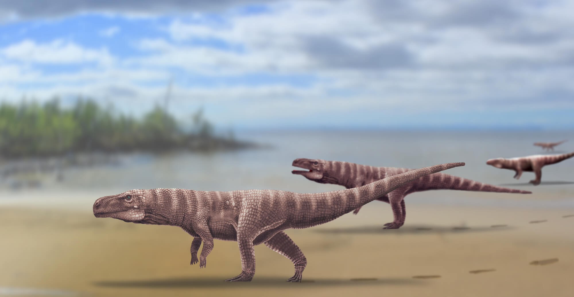 Millions of years ago the ancestors of the crocodiles walked on two legs